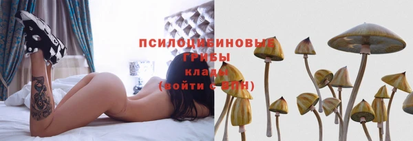 мяу мяу мука Армянск