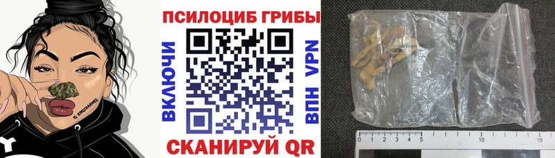 Галлюциногенные грибы MAGIC MUSHROOMS  Новосокольники 